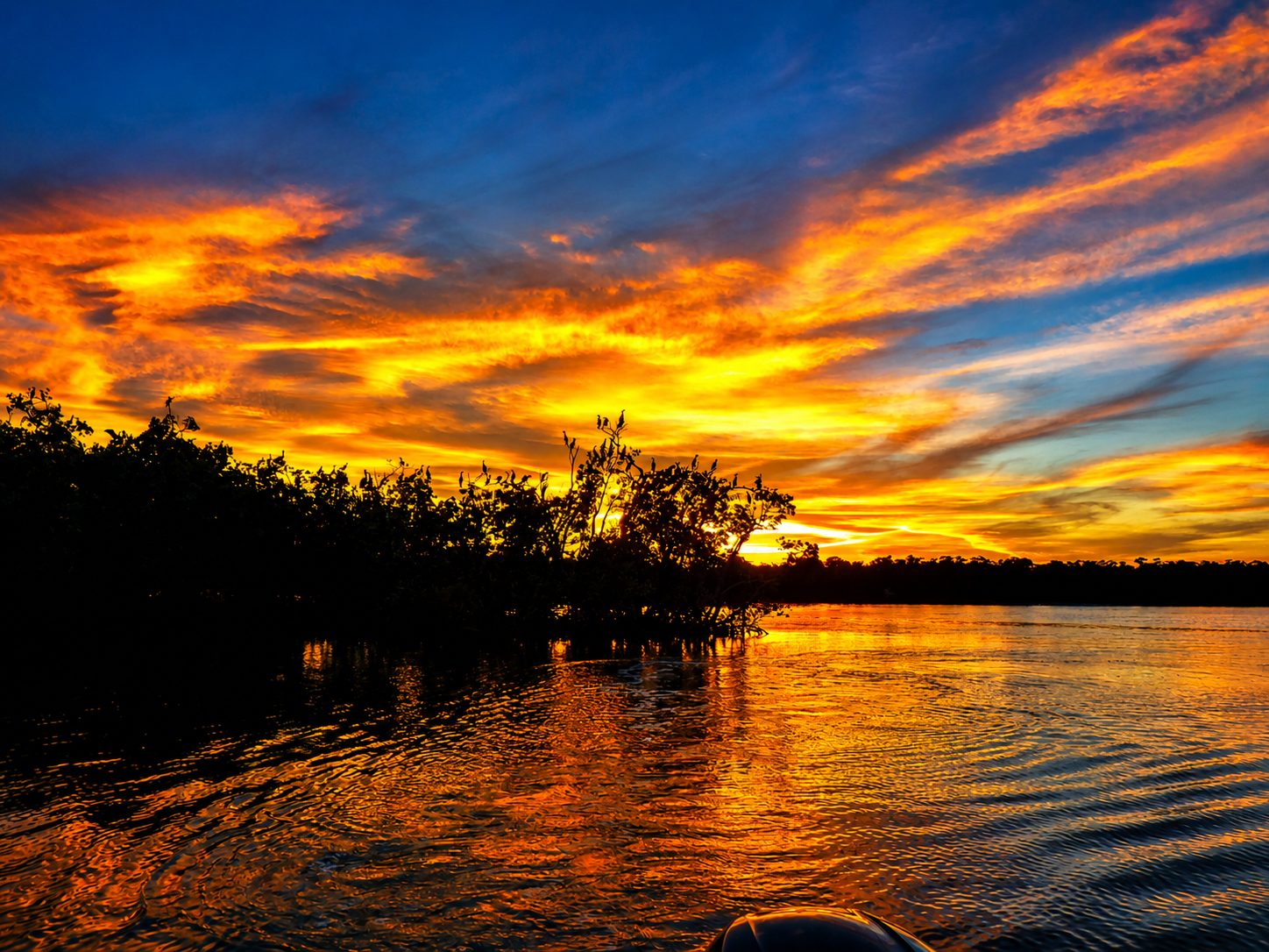 10000 Islands Florida